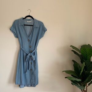 Button Down Blue Zara Dress